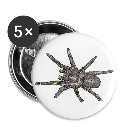 Buttons groß 56 mm (5er Pack) Grammostola pulchripes - weiß