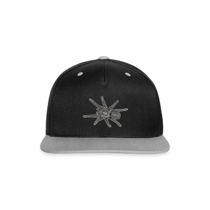 Cappy Kontrast Snapback Grammostola pulchripes - Schwarz/Grau