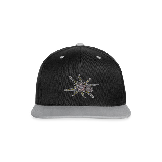 Cappy Kontrast Snapback Grammostola pulchripes - Schwarz/Grau