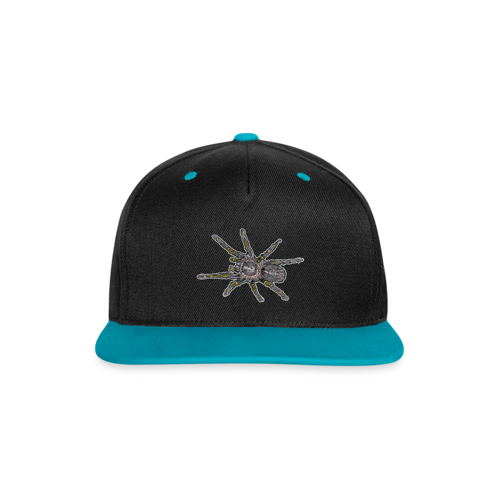 Cappy Kontrast Snapback Grammostola pulchripes - Schwarz/Türkis
