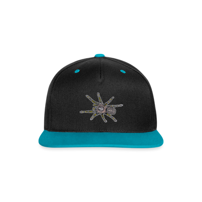 Cappy Kontrast Snapback Grammostola pulchripes - Schwarz/Türkis