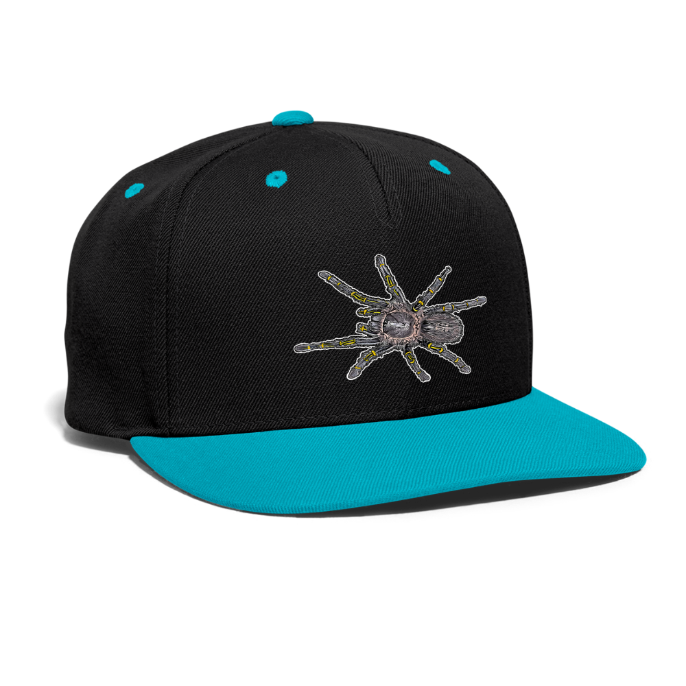 Cappy Kontrast Snapback Grammostola pulchripes - Schwarz/Türkis