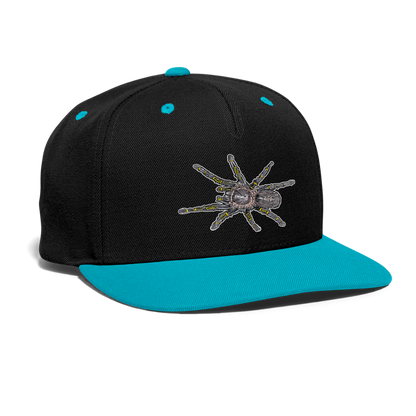 Cappy Kontrast Snapback Grammostola pulchripes - Schwarz/Türkis