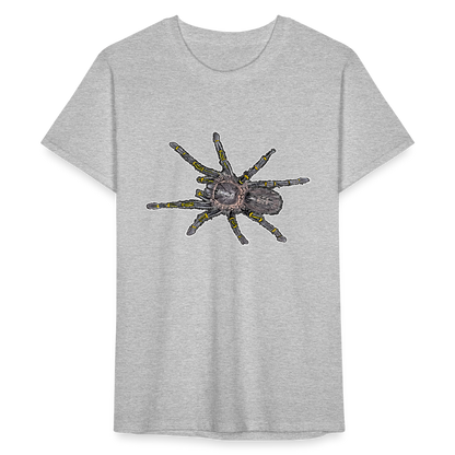 Männer Fruit of the Loom T-Shirt  Grammostola pulchripes - Grau meliert