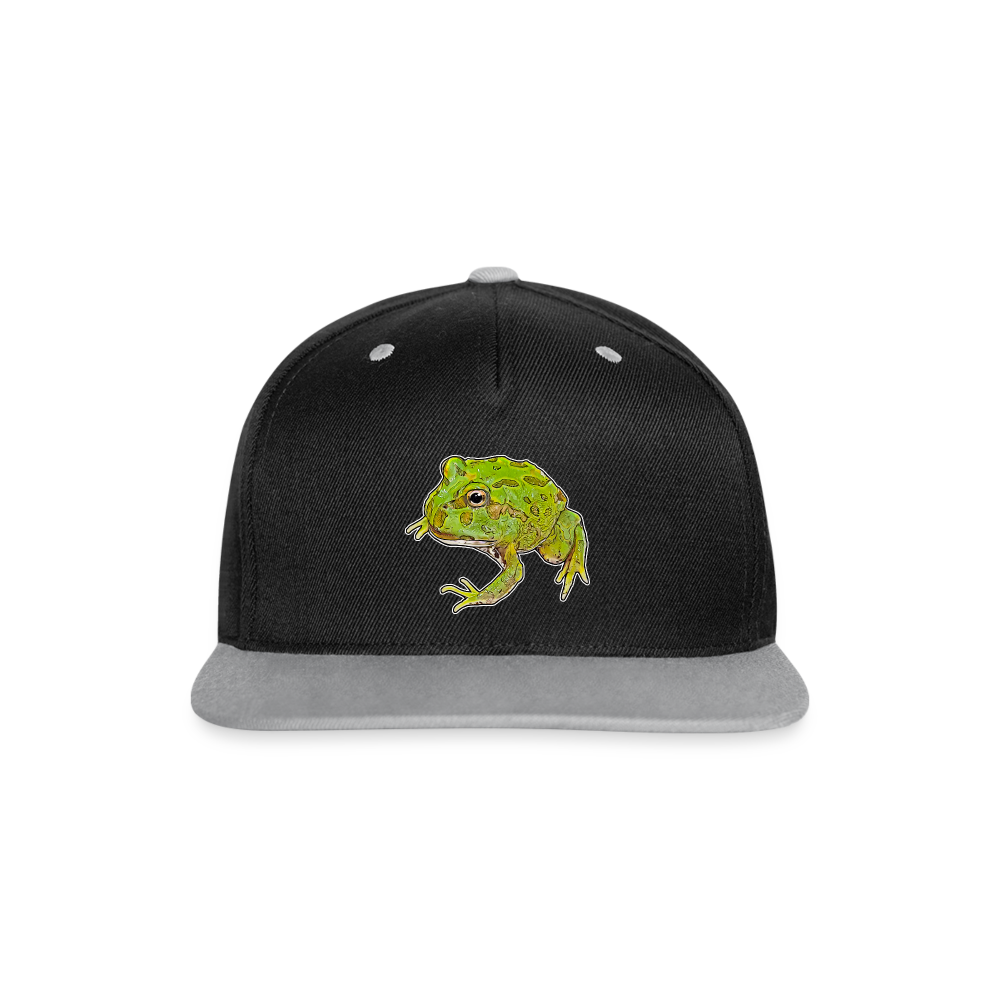 Cappy Kontrast Snapback Ceratophrys cranwelli Peppermint Blue - Schwarz/Grau