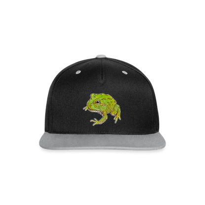 Cappy Kontrast Snapback Ceratophrys cranwelli Peppermint Blue - Schwarz/Grau