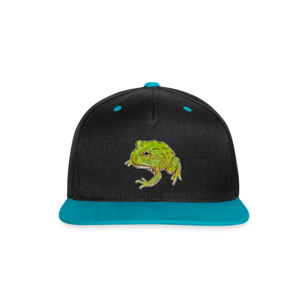 Cappy Kontrast Snapback Ceratophrys cranwelli Peppermint Blue - Schwarz/Türkis