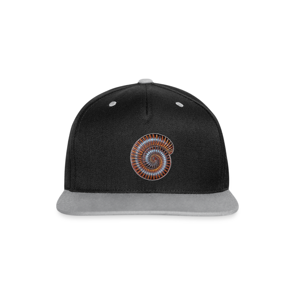 Cappy Kontrast Snapback Archispirostreptus gigas - Schwarz/Grau