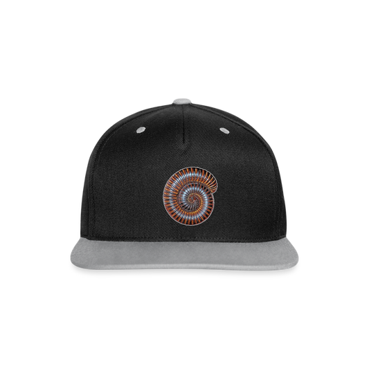 Cappy Kontrast Snapback Archispirostreptus gigas - Schwarz/Grau