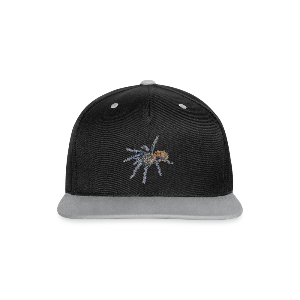 Cappy Kontrast Snapback Chromatopelma cyaneopubescens - Schwarz/Grau