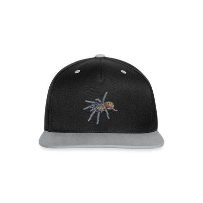 Cappy Kontrast Snapback Chromatopelma cyaneopubescens - Schwarz/Grau