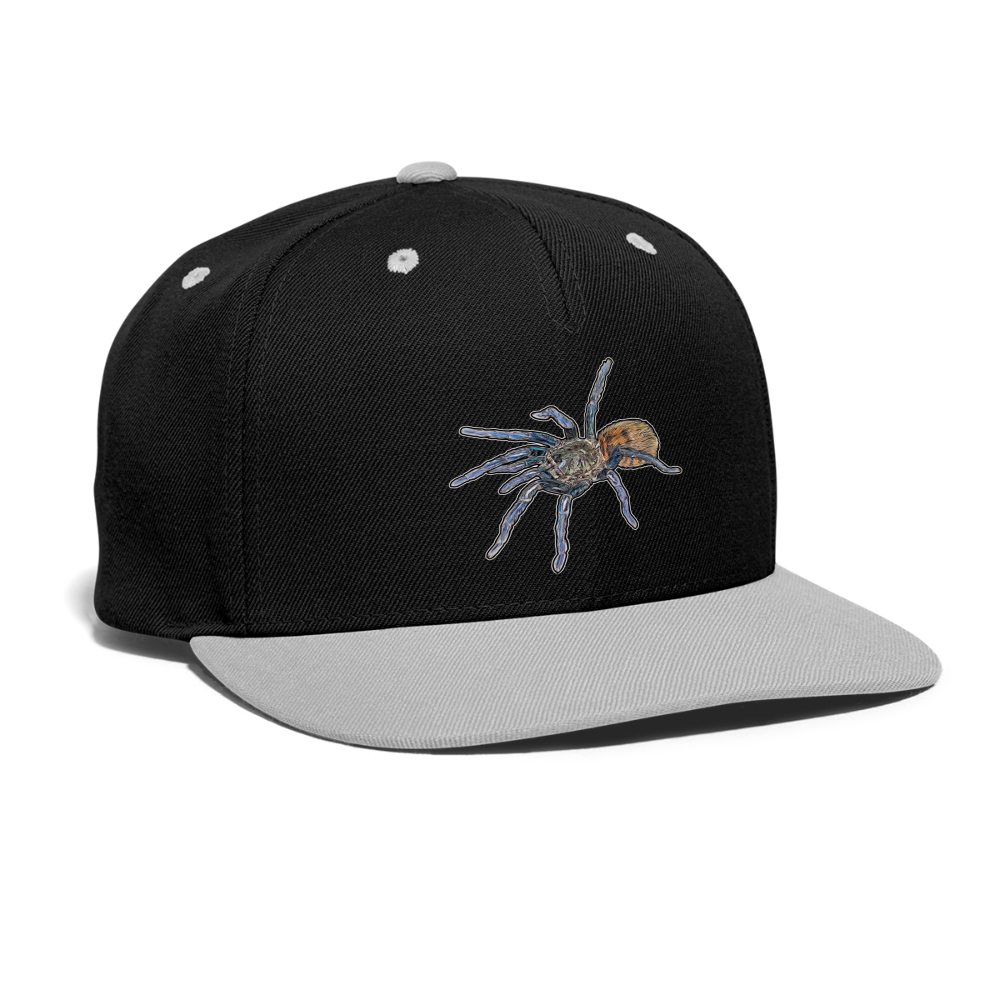 Cappy Kontrast Snapback Chromatopelma cyaneopubescens - Schwarz/Grau