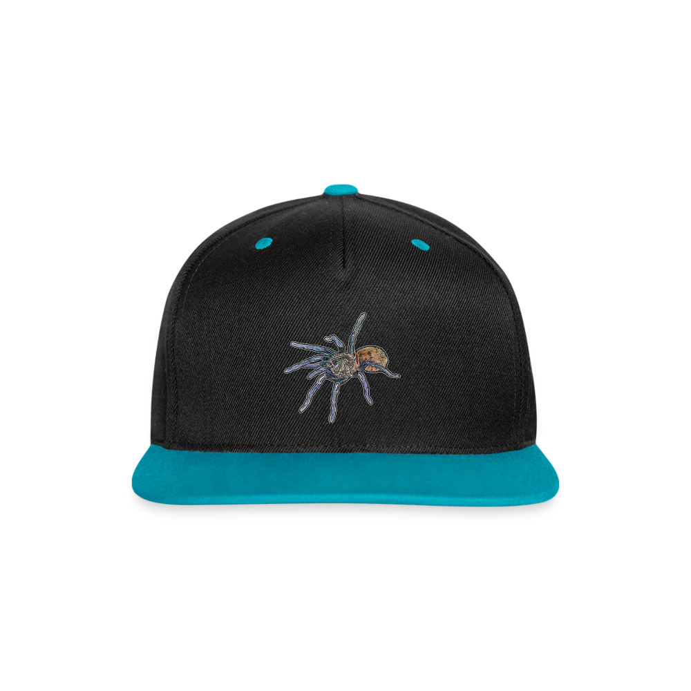 Cappy Kontrast Snapback Chromatopelma cyaneopubescens - Schwarz/Türkis