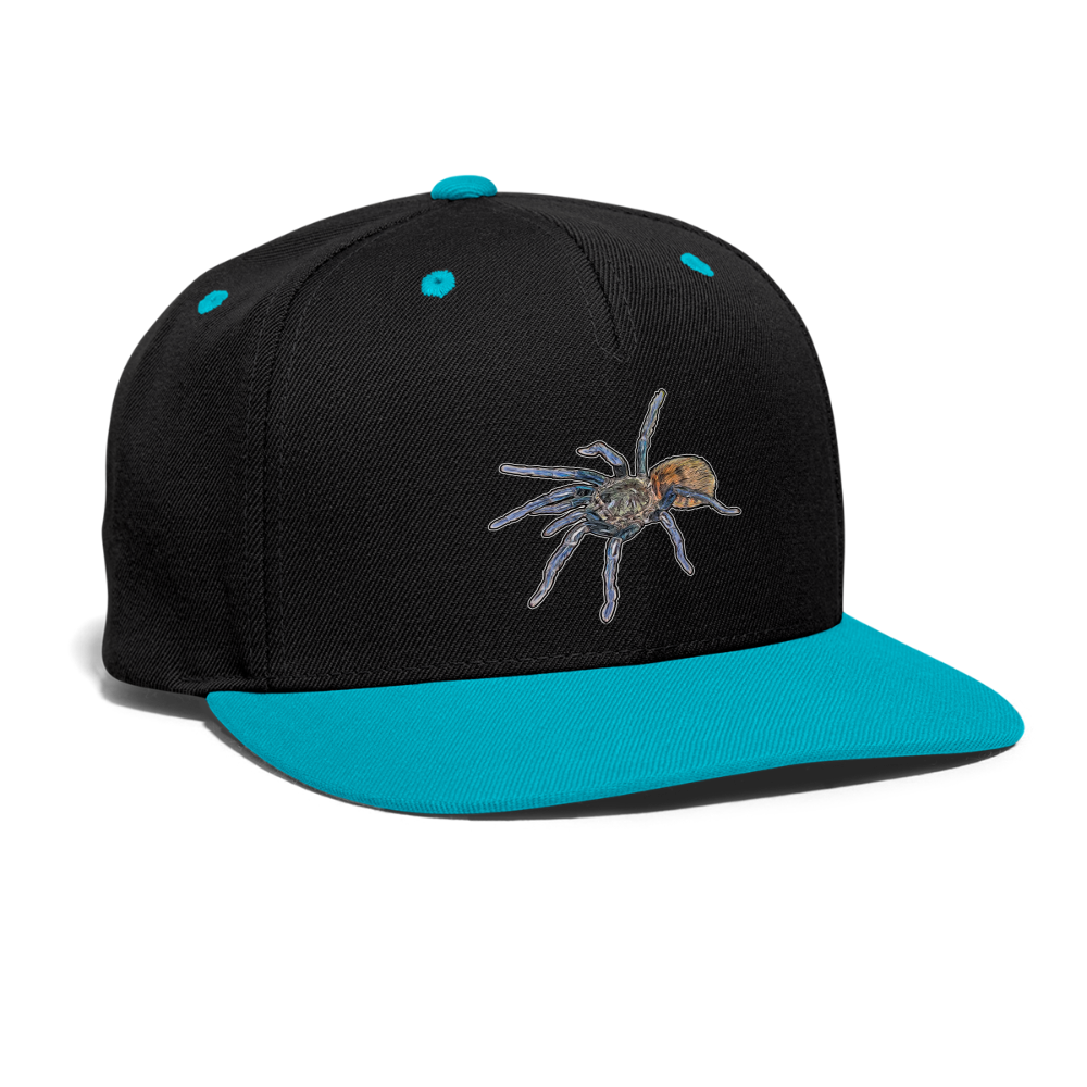 Cappy Kontrast Snapback Chromatopelma cyaneopubescens - Schwarz/Türkis