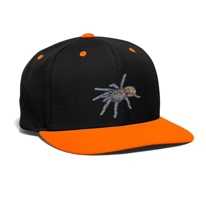 Cappy Kontrast Snapback Chromatopelma cyaneopubescens - Schwarz/Neonorange