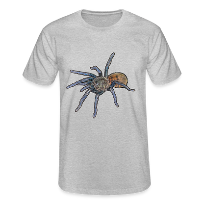Männer Fruit of the Loom T-Shirt Chromatopelma cyaneopubescens - Grau meliert