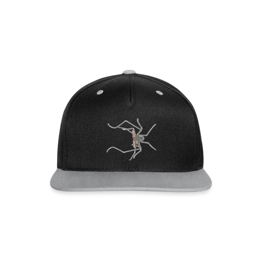 Cappy Kontrast Snapback Euphrynichus bacillifer - Schwarz/Grau