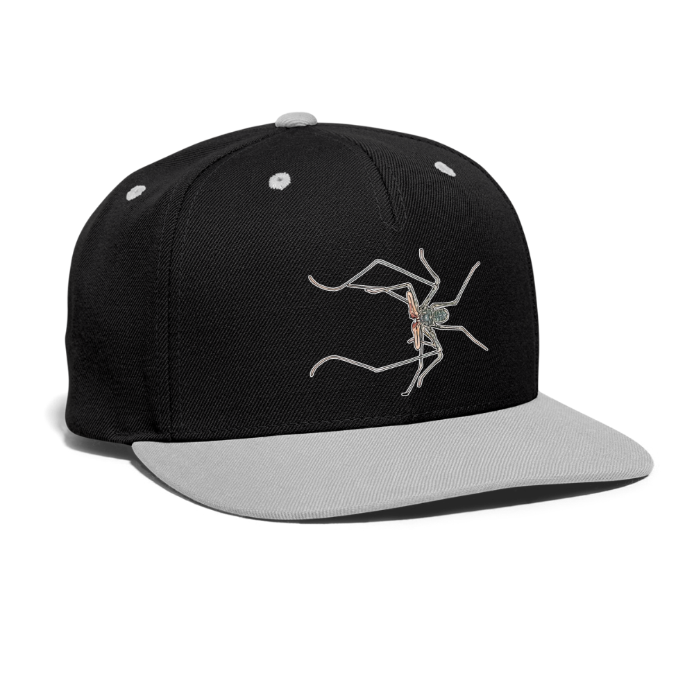 Cappy Kontrast Snapback Euphrynichus bacillifer - Schwarz/Grau