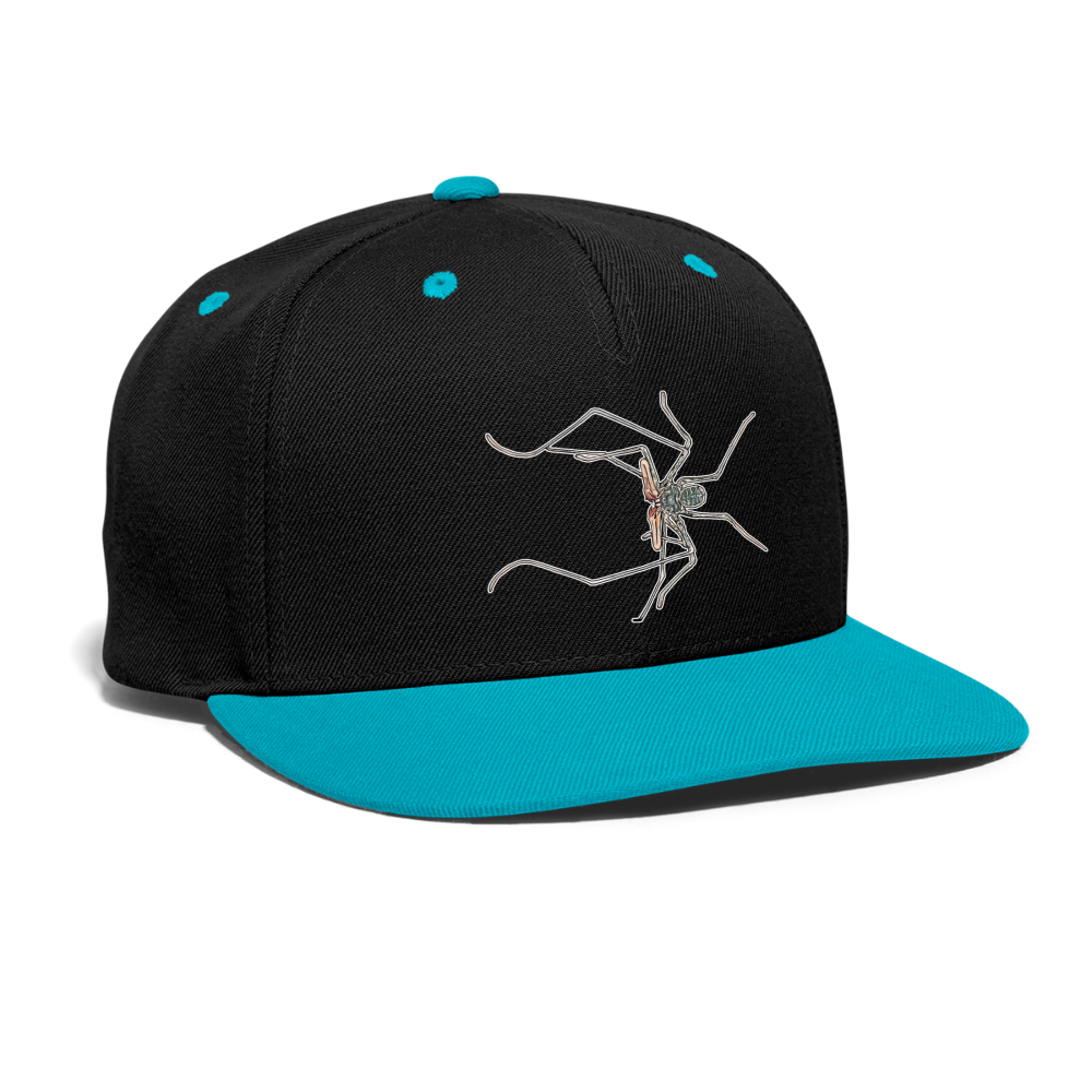 Cappy Kontrast Snapback Euphrynichus bacillifer - Schwarz/Türkis