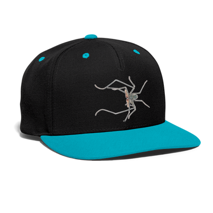 Cappy Kontrast Snapback Euphrynichus bacillifer - Schwarz/Türkis