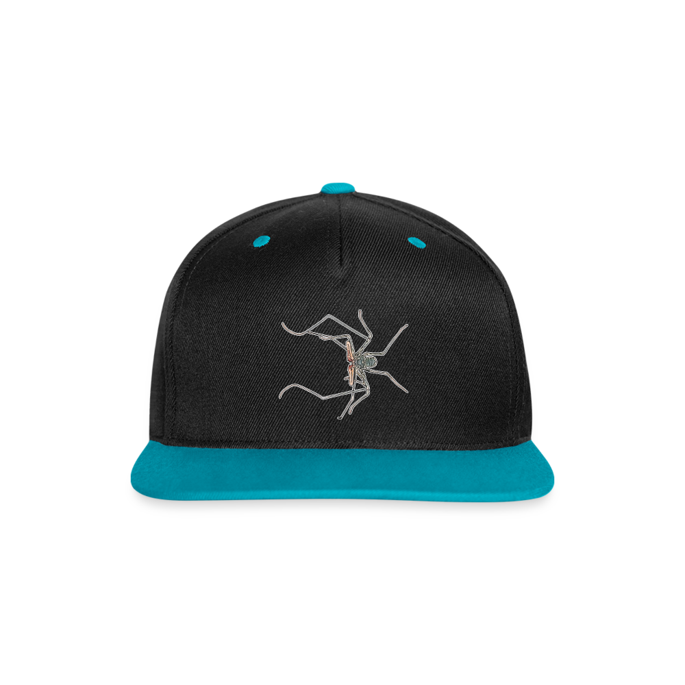 Cappy Kontrast Snapback Euphrynichus bacillifer - Schwarz/Türkis