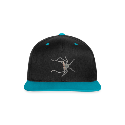 Cappy Kontrast Snapback Euphrynichus bacillifer - Schwarz/Türkis
