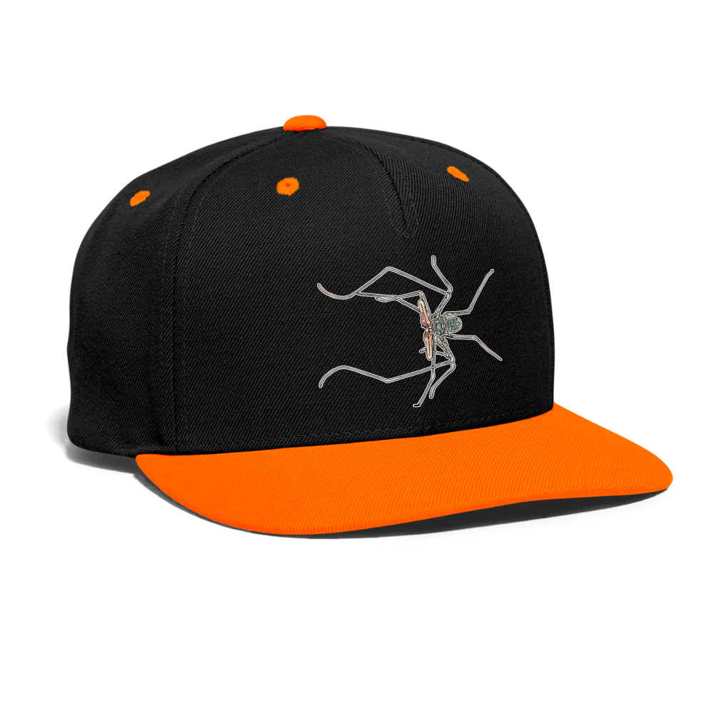 Cappy Kontrast Snapback Euphrynichus bacillifer - Schwarz/Neonorange