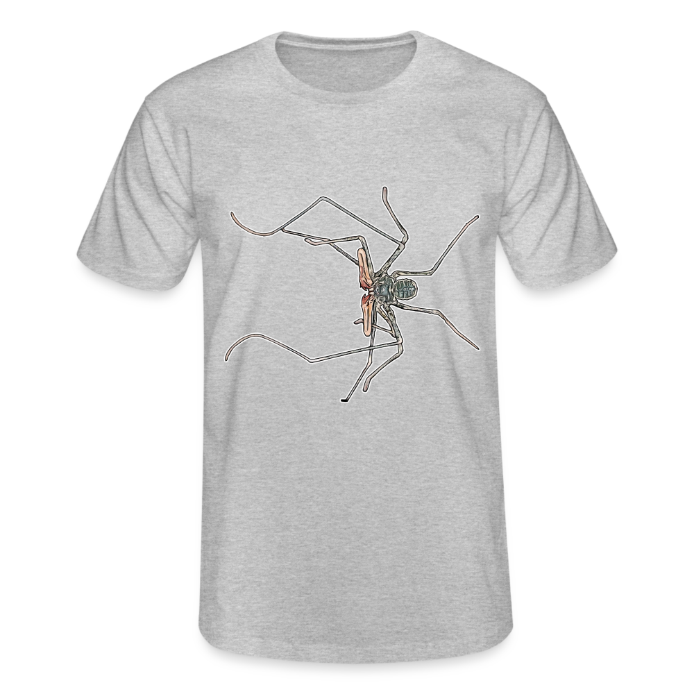 Männer Fruit of the Loom T-Shirt Euphrynichus bacillifer - Grau meliert