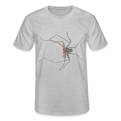 Männer Fruit of the Loom T-Shirt Euphrynichus bacillifer - Grau meliert