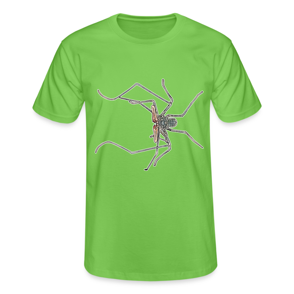 Männer Fruit of the Loom T-Shirt Euphrynichus bacillifer - Hellgrün