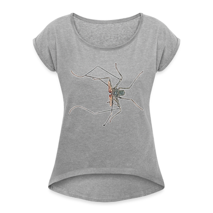 Frauen T-Shirt mit gerollten Ärmeln Euphrynichus bacillifer - Grau meliert