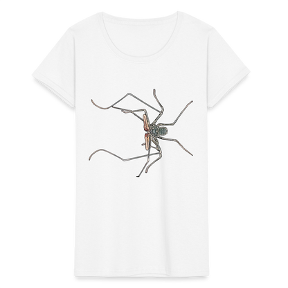 Frauen Fruit of the Loom T-Shirt Euphrynichus bacillifer - weiß