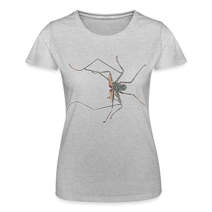 Frauen Fruit of the Loom T-Shirt Euphrynichus bacillifer - Grau meliert
