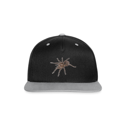 Cappy Kontrast Snapback Theraphosa stirmi juvenile - Schwarz/Grau