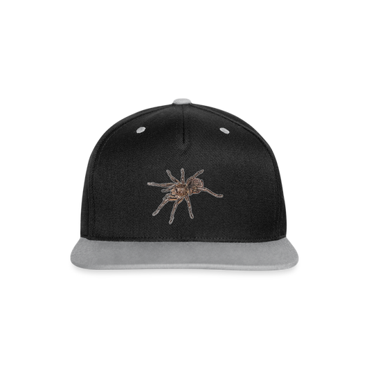 Cappy Kontrast Snapback Theraphosa stirmi juvenile - Schwarz/Grau