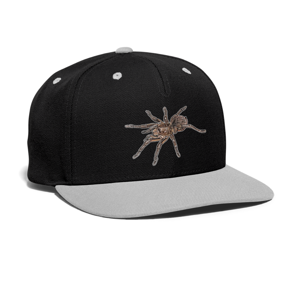 Cappy Kontrast Snapback Theraphosa stirmi juvenile - Schwarz/Grau