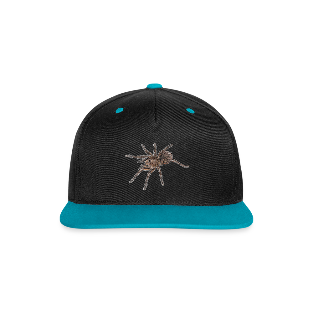 Cappy Kontrast Snapback Theraphosa stirmi juvenile - Schwarz/Türkis