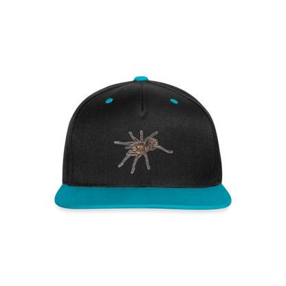 Cappy Kontrast Snapback Theraphosa stirmi juvenile - Schwarz/Türkis