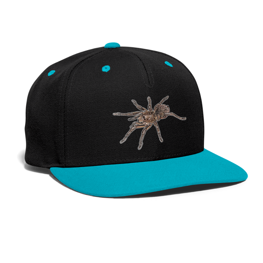 Cappy Kontrast Snapback Theraphosa stirmi juvenile - Schwarz/Türkis