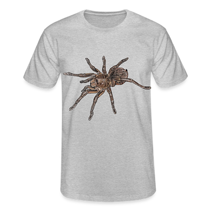 Männer Fruit of the Loom T-Shirt Theraphosa stirmi juvenile - Grau meliert