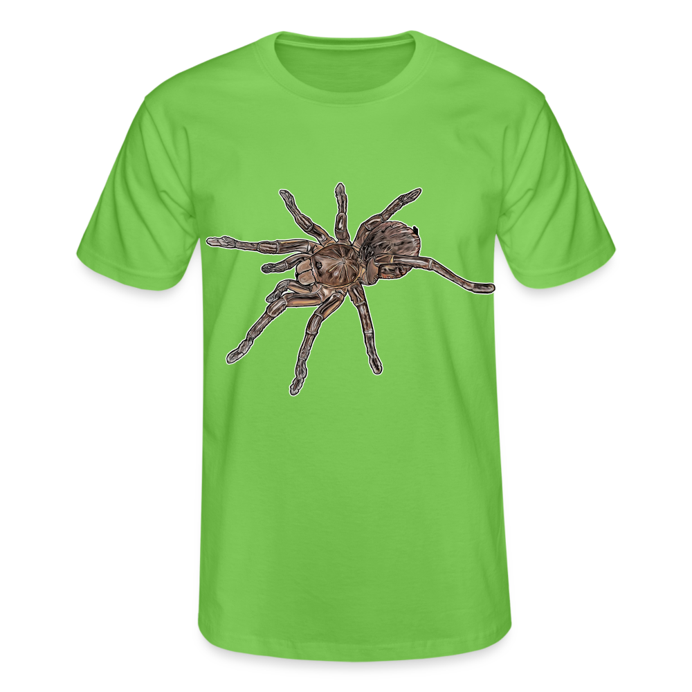 Männer Fruit of the Loom T-Shirt Theraphosa stirmi juvenile - Hellgrün