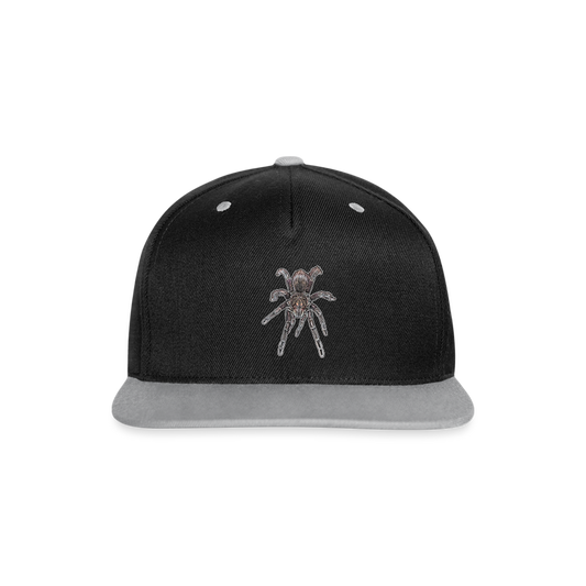 Cappy Kontrast Snapback Pamphobeteus sp Machala juvenile - Schwarz/Grau