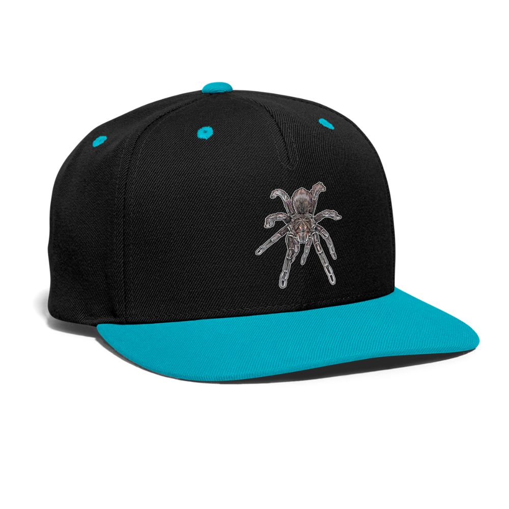 Cappy Kontrast Snapback Pamphobeteus sp Machala juvenile - Schwarz/Türkis