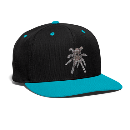 Cappy Kontrast Snapback Pamphobeteus sp Machala juvenile - Schwarz/Türkis