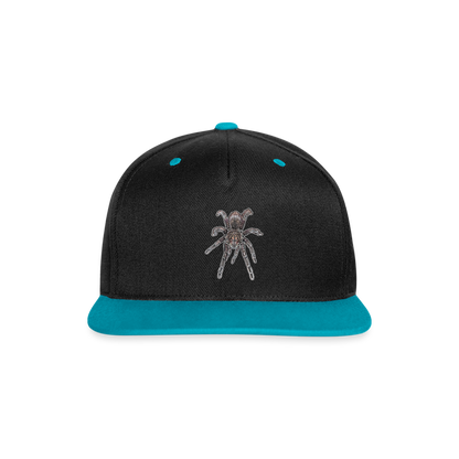 Cappy Kontrast Snapback Pamphobeteus sp Machala juvenile - Schwarz/Türkis