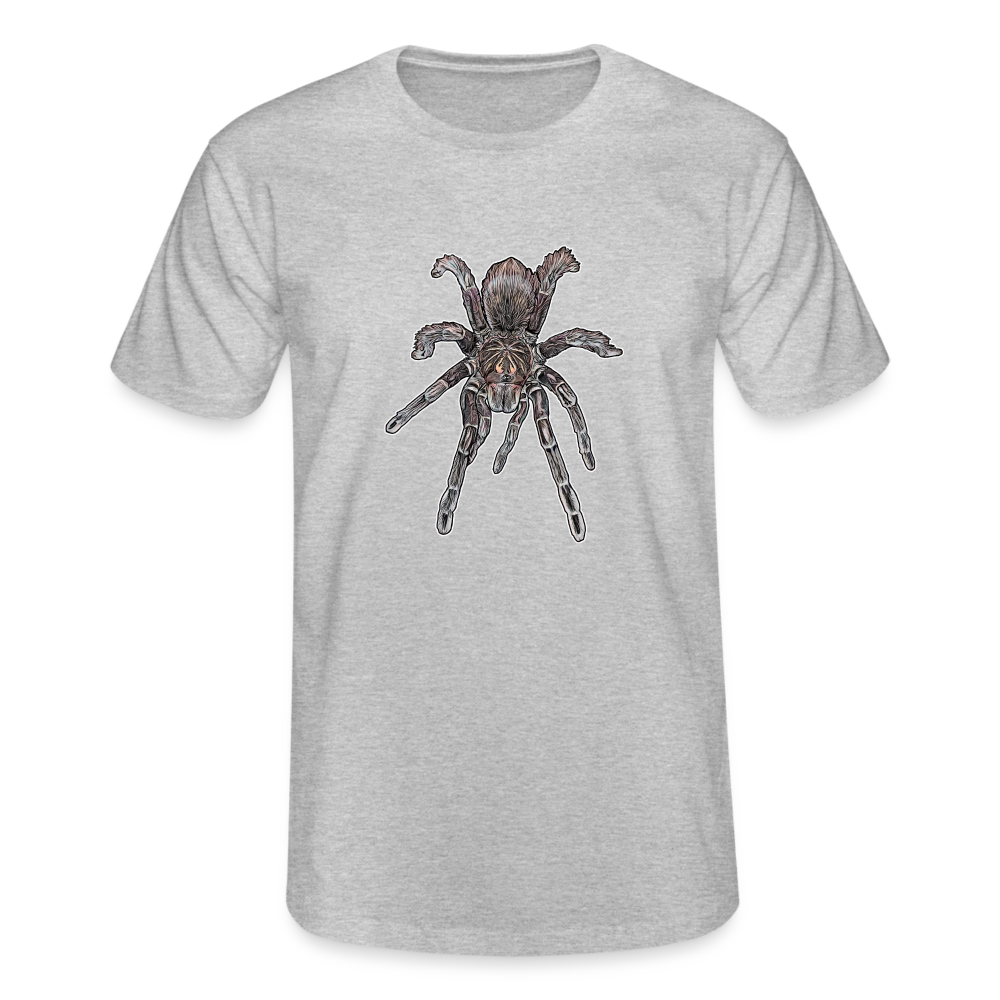 Männer Fruit of the Loom T-Shirt Pamphobeteus sp Machala juvenile - Grau meliert