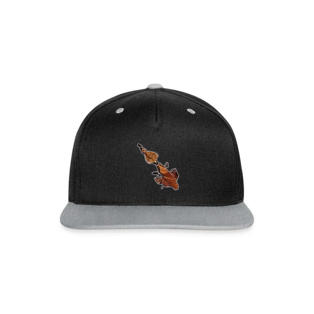 Cappy Kontrast Snapback Phyllocrania paradoxa female - Schwarz/Grau