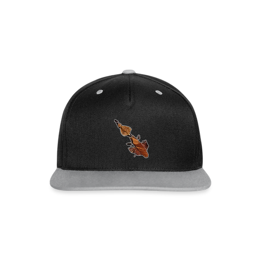 Cappy Kontrast Snapback Phyllocrania paradoxa female - Schwarz/Grau