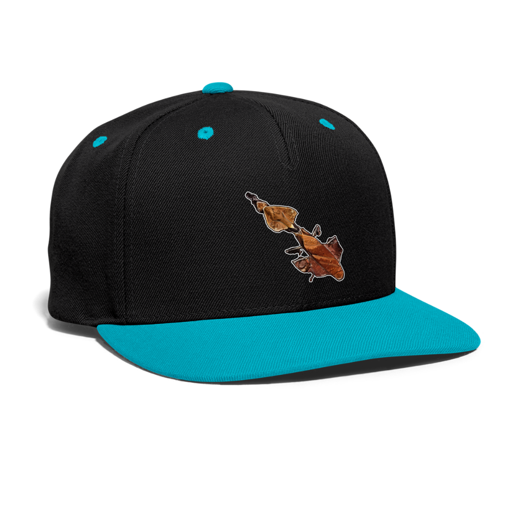 Cappy Kontrast Snapback Phyllocrania paradoxa female - Schwarz/Türkis