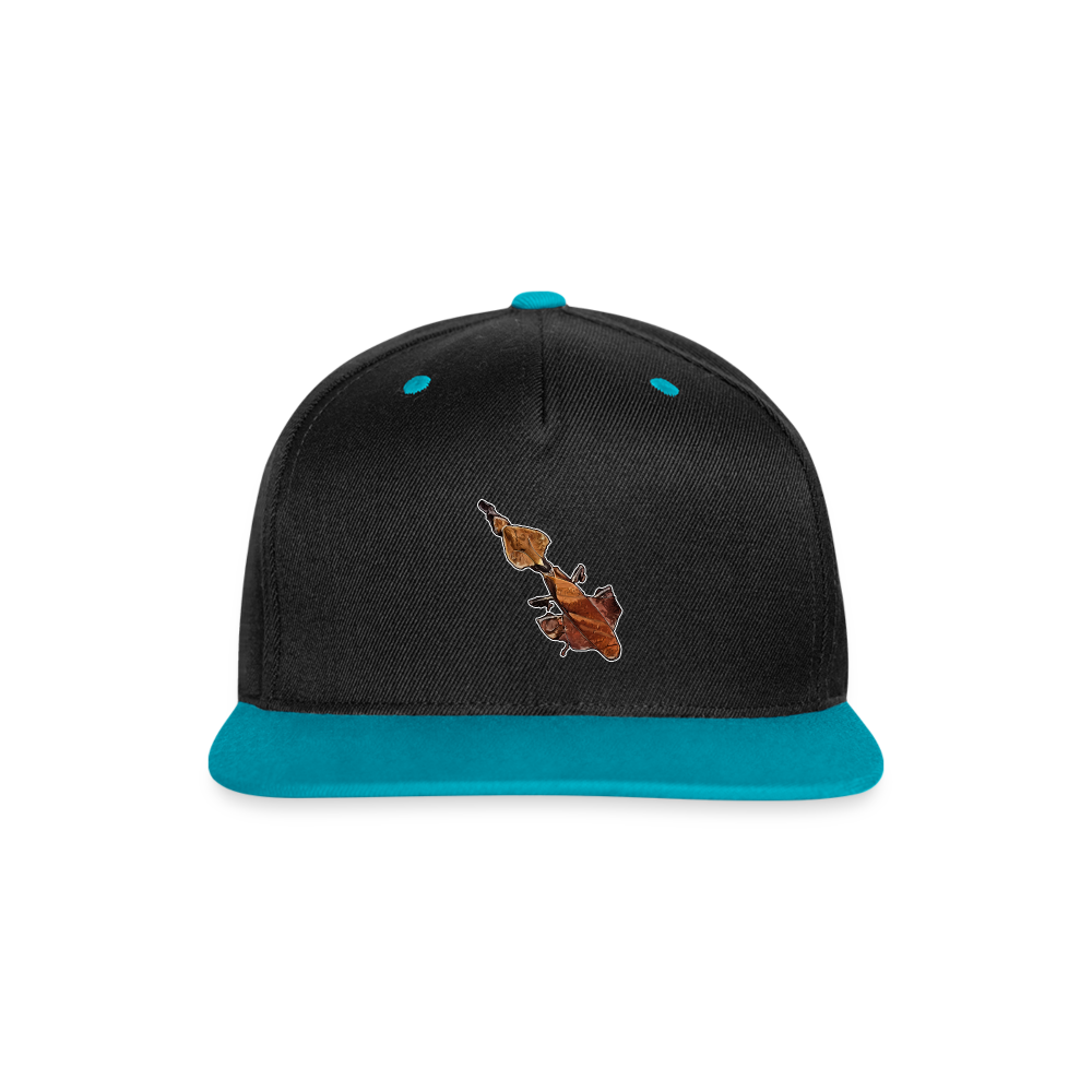 Cappy Kontrast Snapback Phyllocrania paradoxa female - Schwarz/Türkis